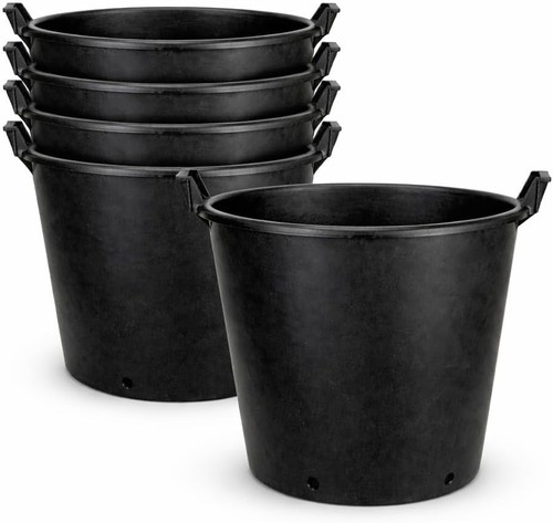 Litre large plant - x, 50