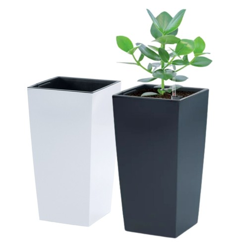 Tall planter plant - tall,