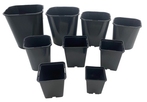 Square plant pots rigid - rigid, 7cm