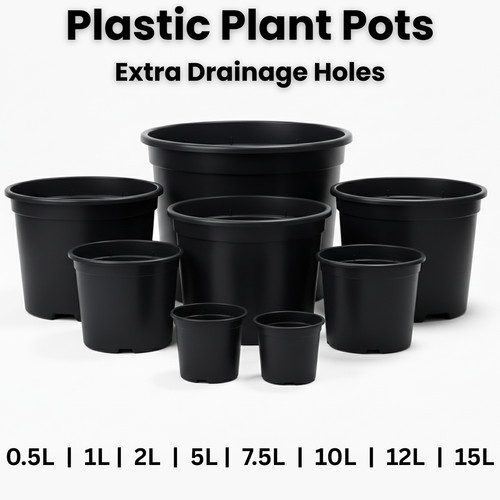 Black plastic plant - plant, pots