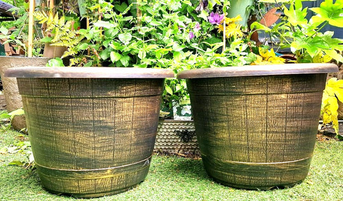 Set 26cm bronze - ,