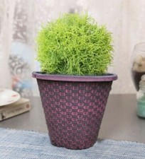 Large Planter Pot Plastic