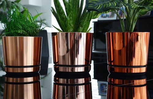 Modern plastic plant - plastic,